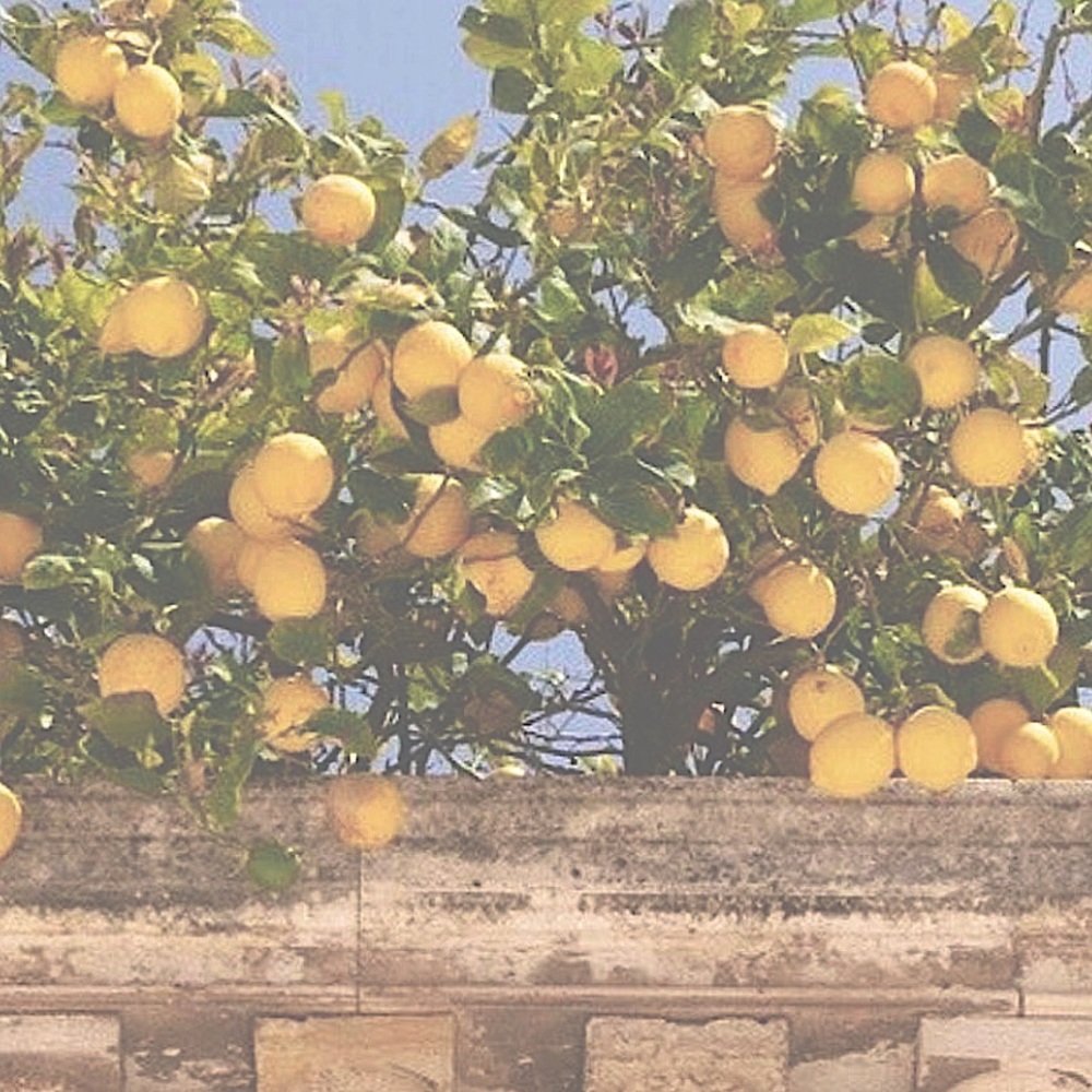 𝑖𝑓 𝑦𝑜𝑢 𝑛𝑒𝑒𝑑 𝑎 𝑓𝑟𝑖𝑒𝑛𝑑…